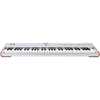 Arturia AstroLab 61 Silver Limited Edition