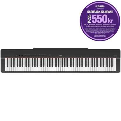 Yamaha P-225B