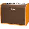 Fender Acoustic 100 hero 2