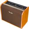 Fender Acoustic 100 controls