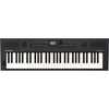 Roland GO:KEYS 5 Graphite