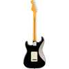 Fender American Professional Stratocaster® Black baksida