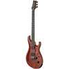 PRS Tekton T Imperial Topaz perspektiv