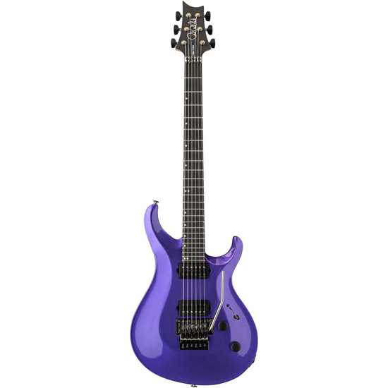 PRS Tekton Floyd Purple Royale framsida